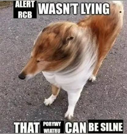 Arktos ⛄️ tweet media