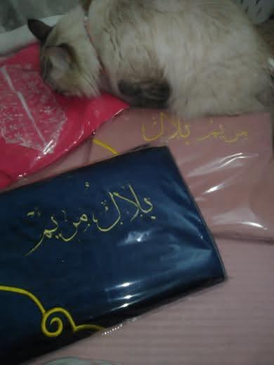 مرت الكوموندو🖇️ tweet media