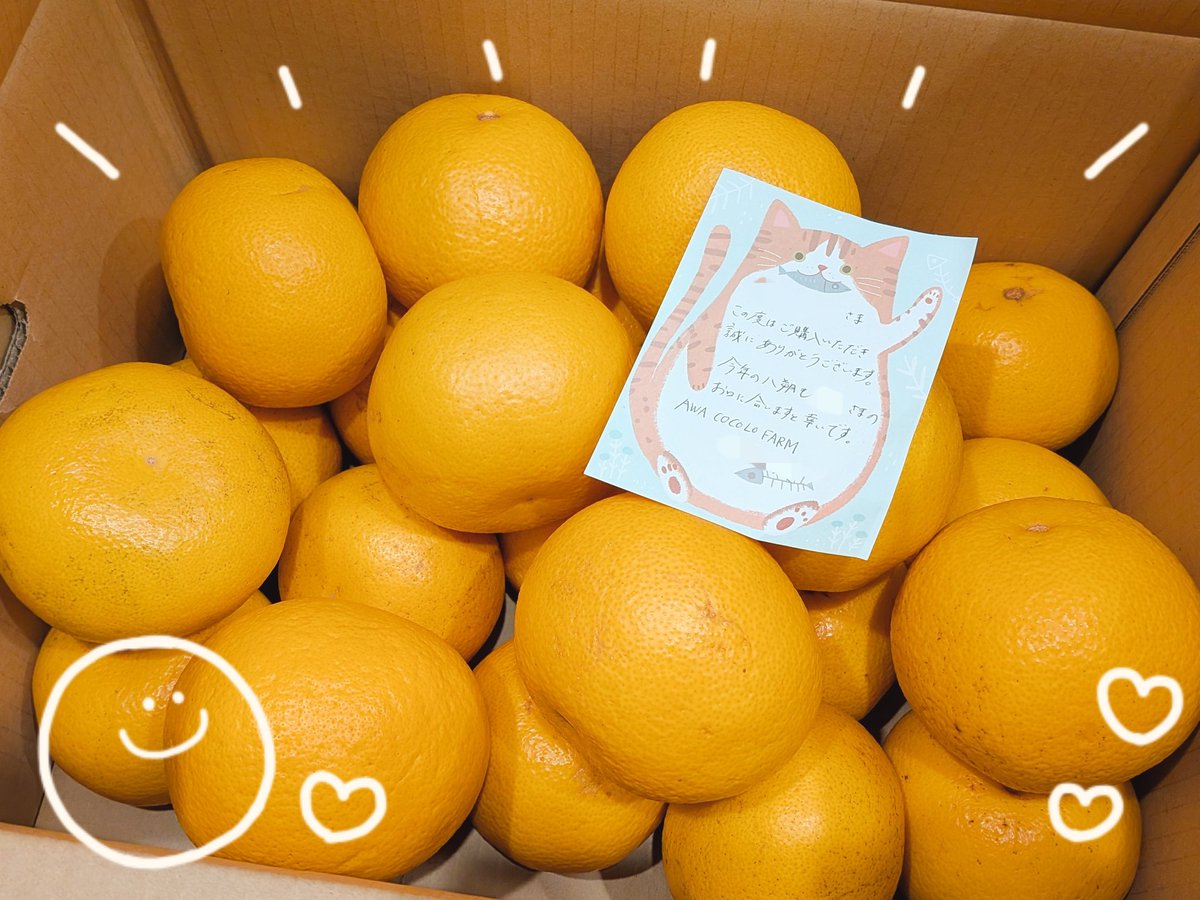 はっさく第4弾🍊
直筆のお手紙まで入ってて嬉しい(*ˊ˘ˋ*)💕
今シーズン最後か…！？