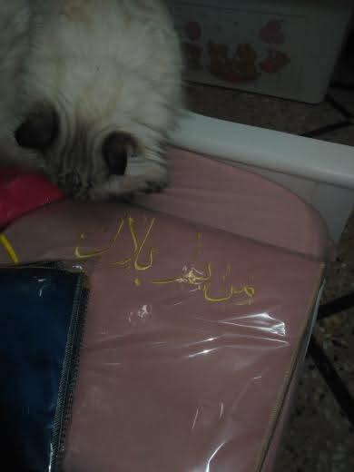 مرت الكوموندو🖇️ tweet media