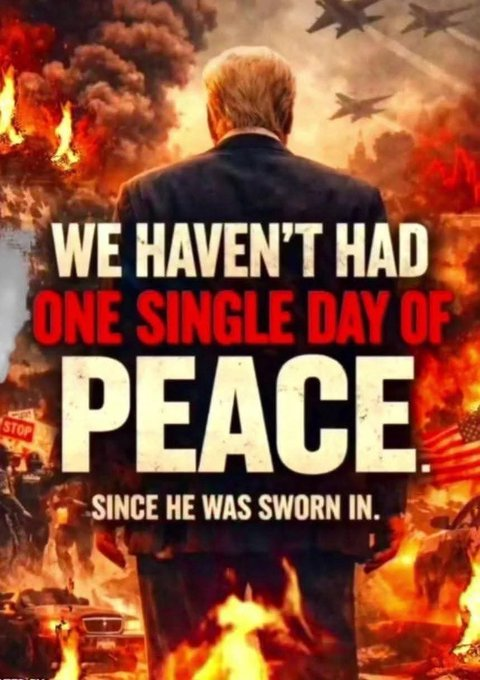 Sara Rey tweet media