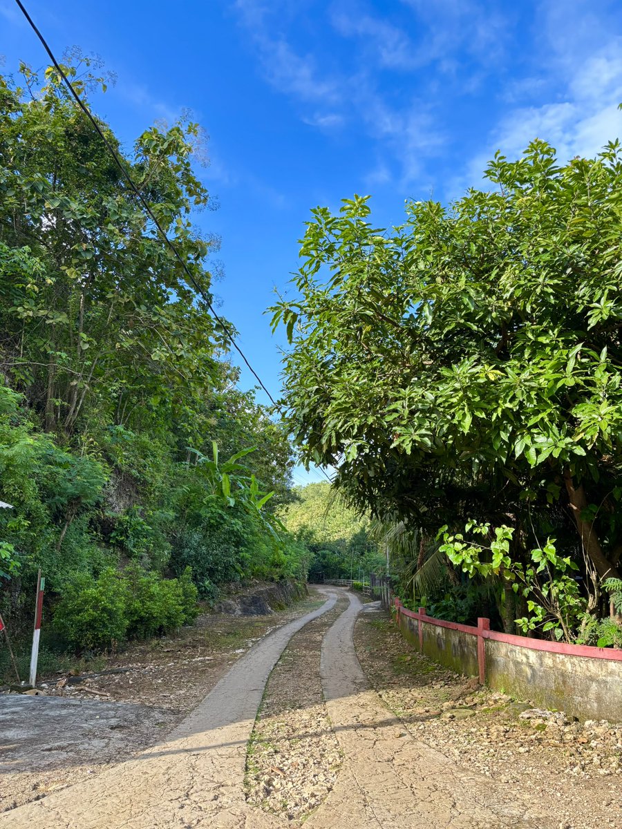 hindi.cahya tweet media