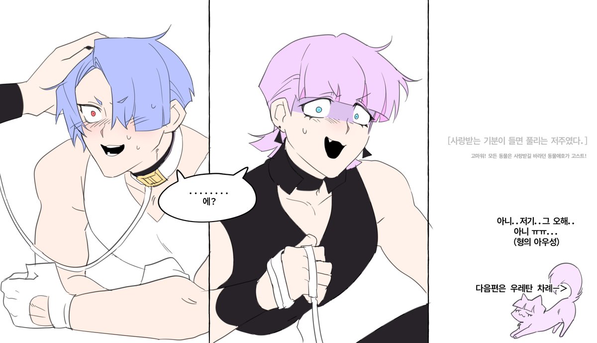 릉이버섯 tweet media