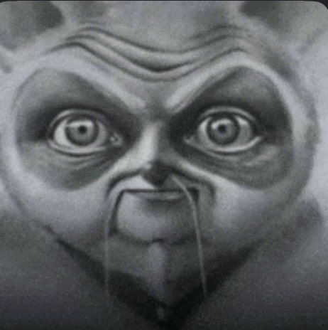 Seth 🇨🇩 tweet media