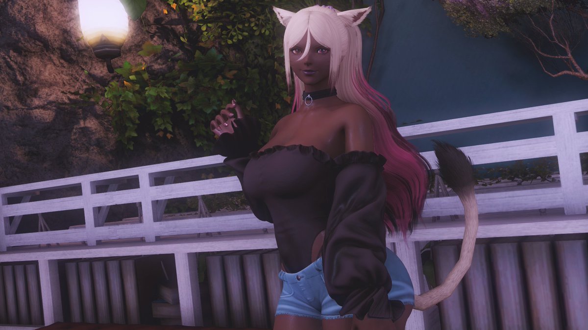 D.D. the Wanderer tweet media