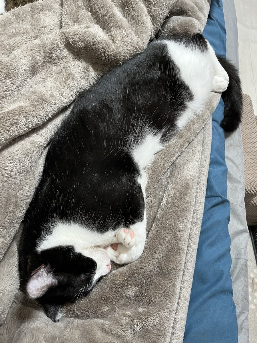 真秀が世界一かわいい(*´Д｀*)