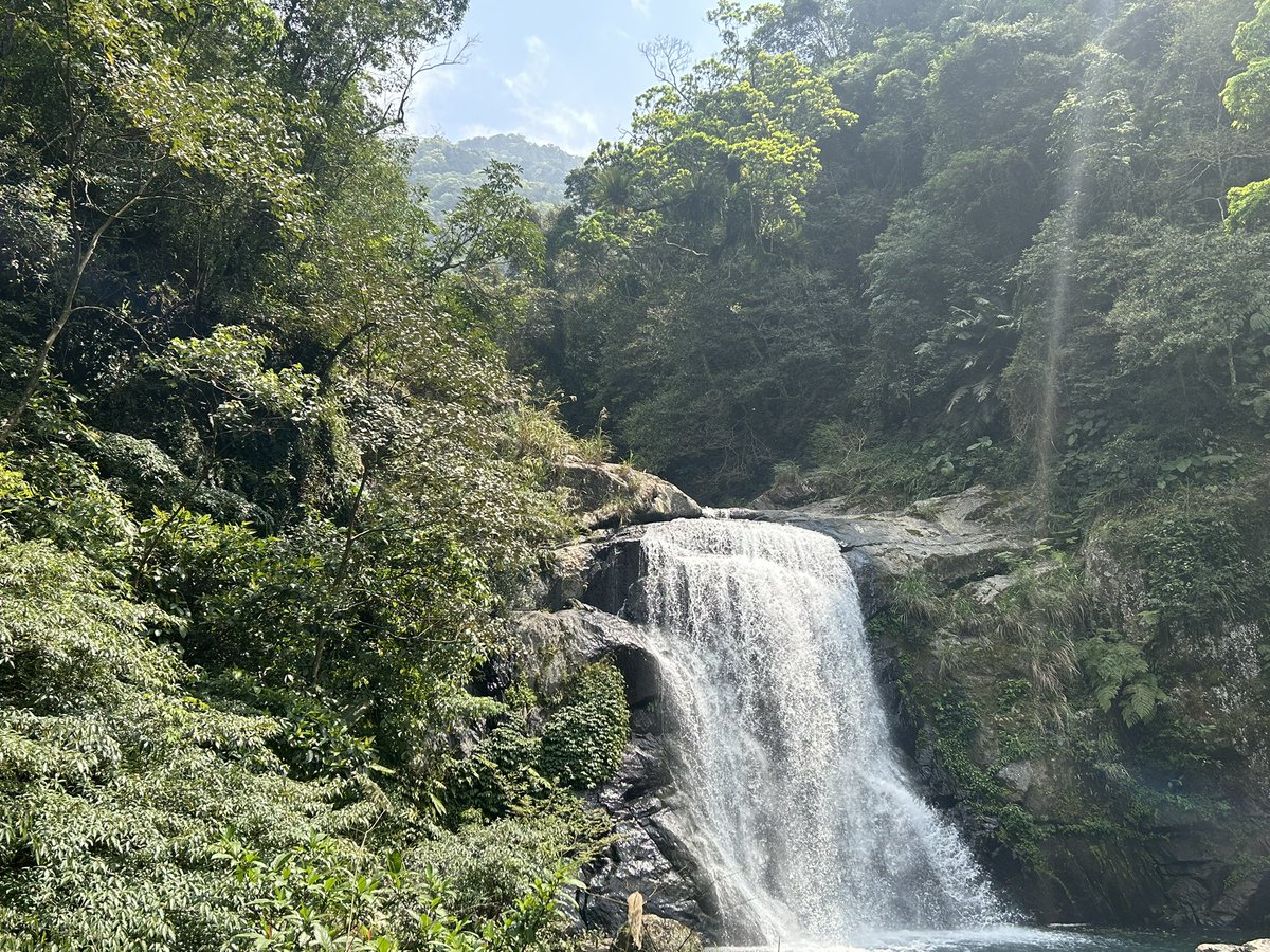 棲光腿叔 tweet media