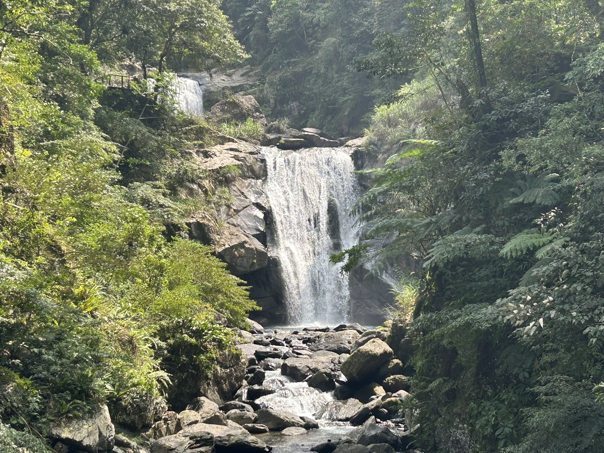 棲光腿叔 tweet media