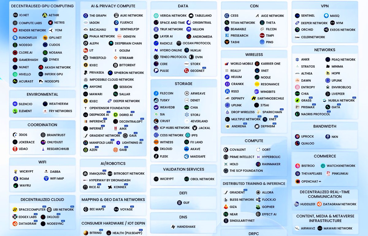 Velora🌸 tweet media