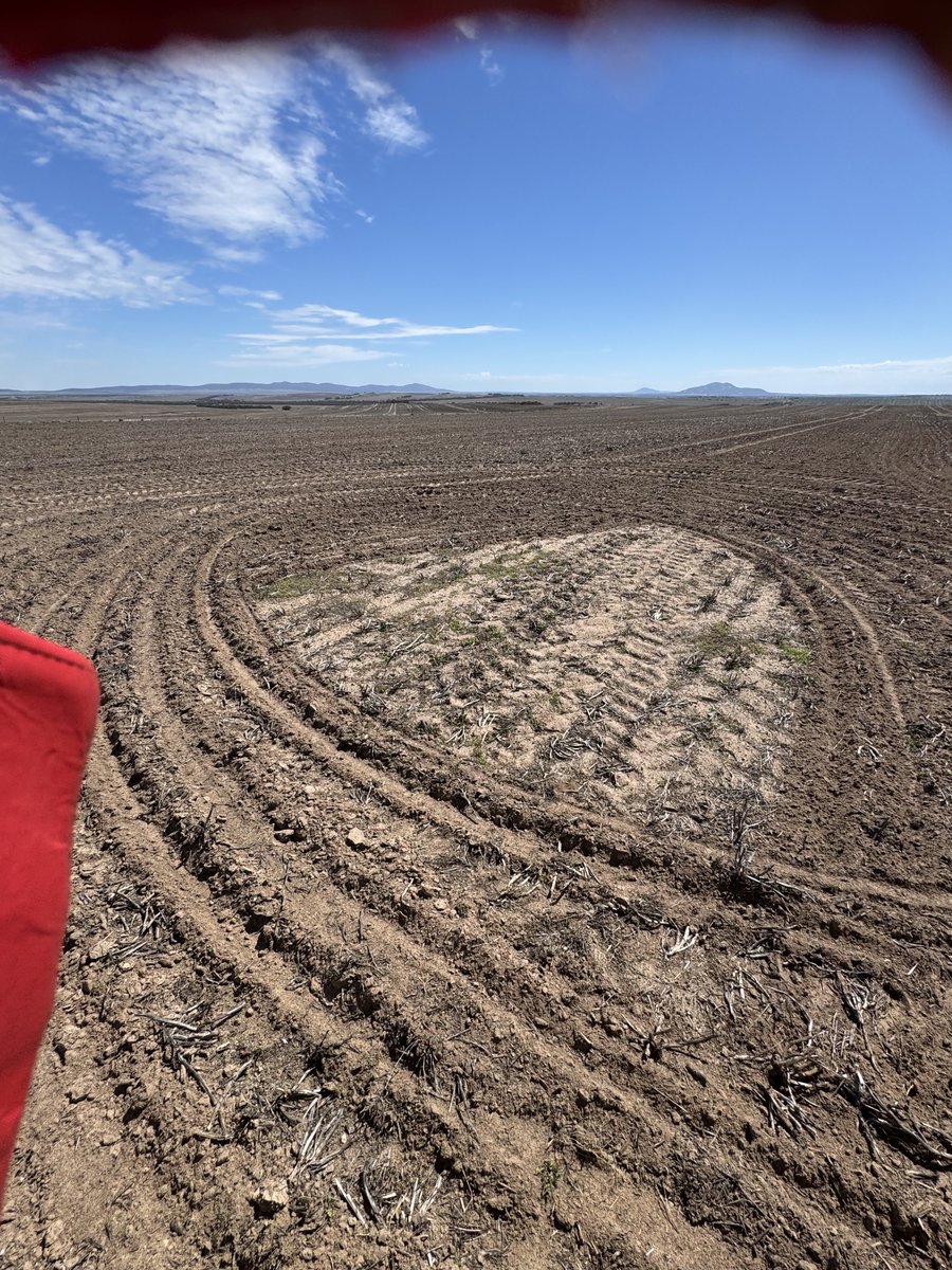 Mark Dolling tweet media