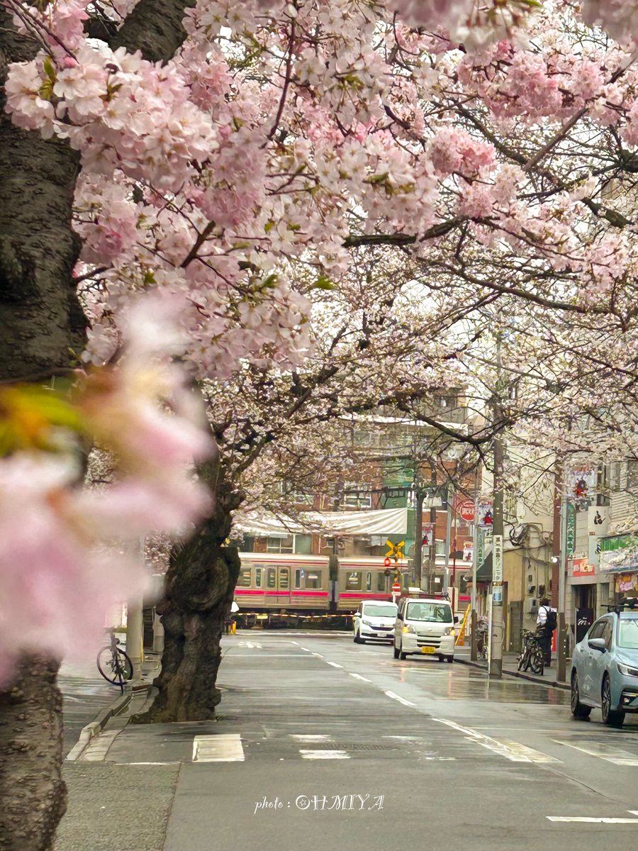 大宮さざえsun☪︎優しい言葉をありがとう☪︎ tweet media