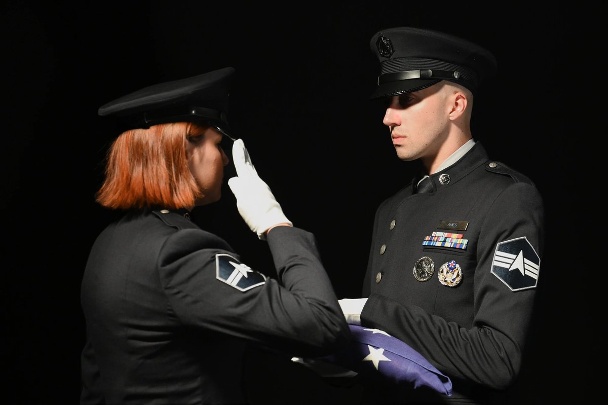 Animarchy History 🇦🇺 tweet media