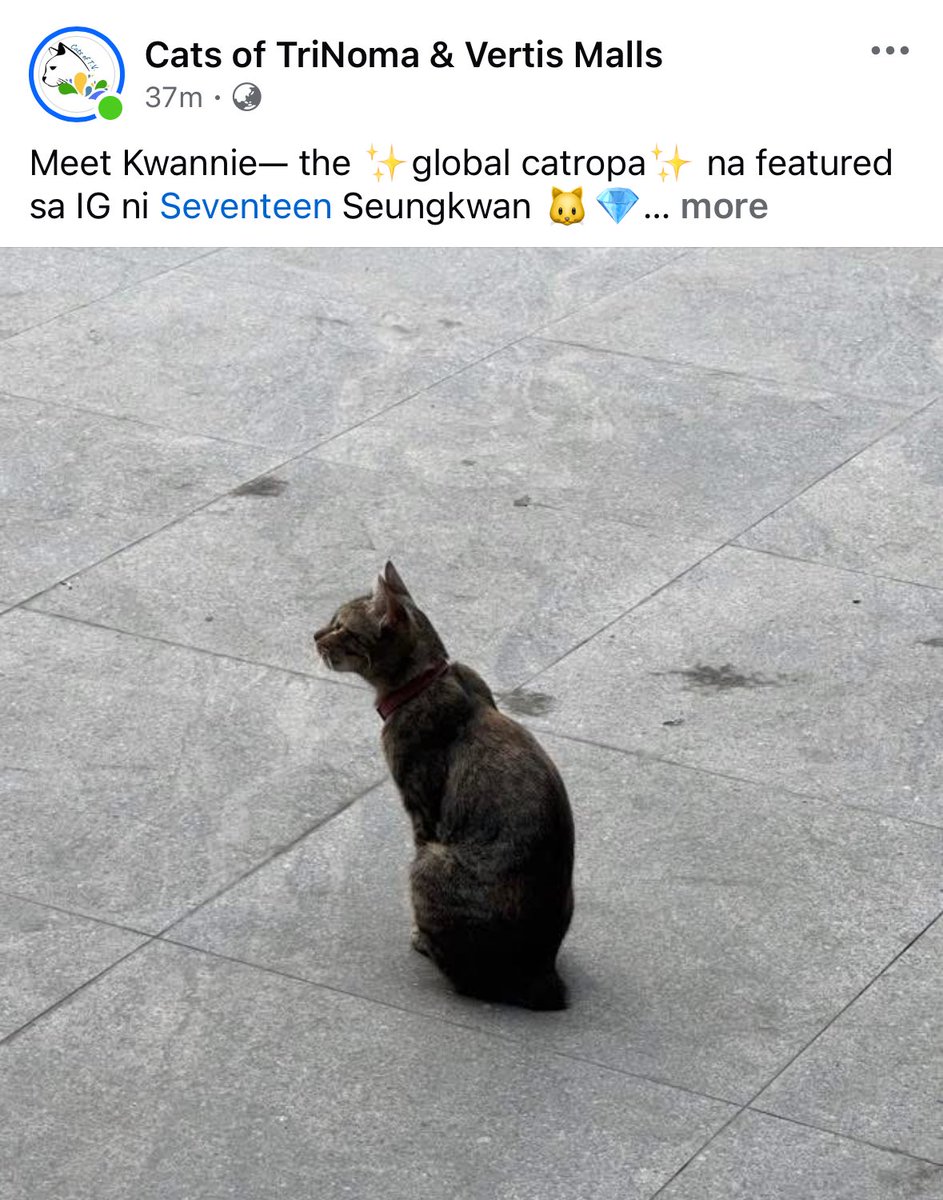 every.uno💫💎🐈‍⬛ tweet media