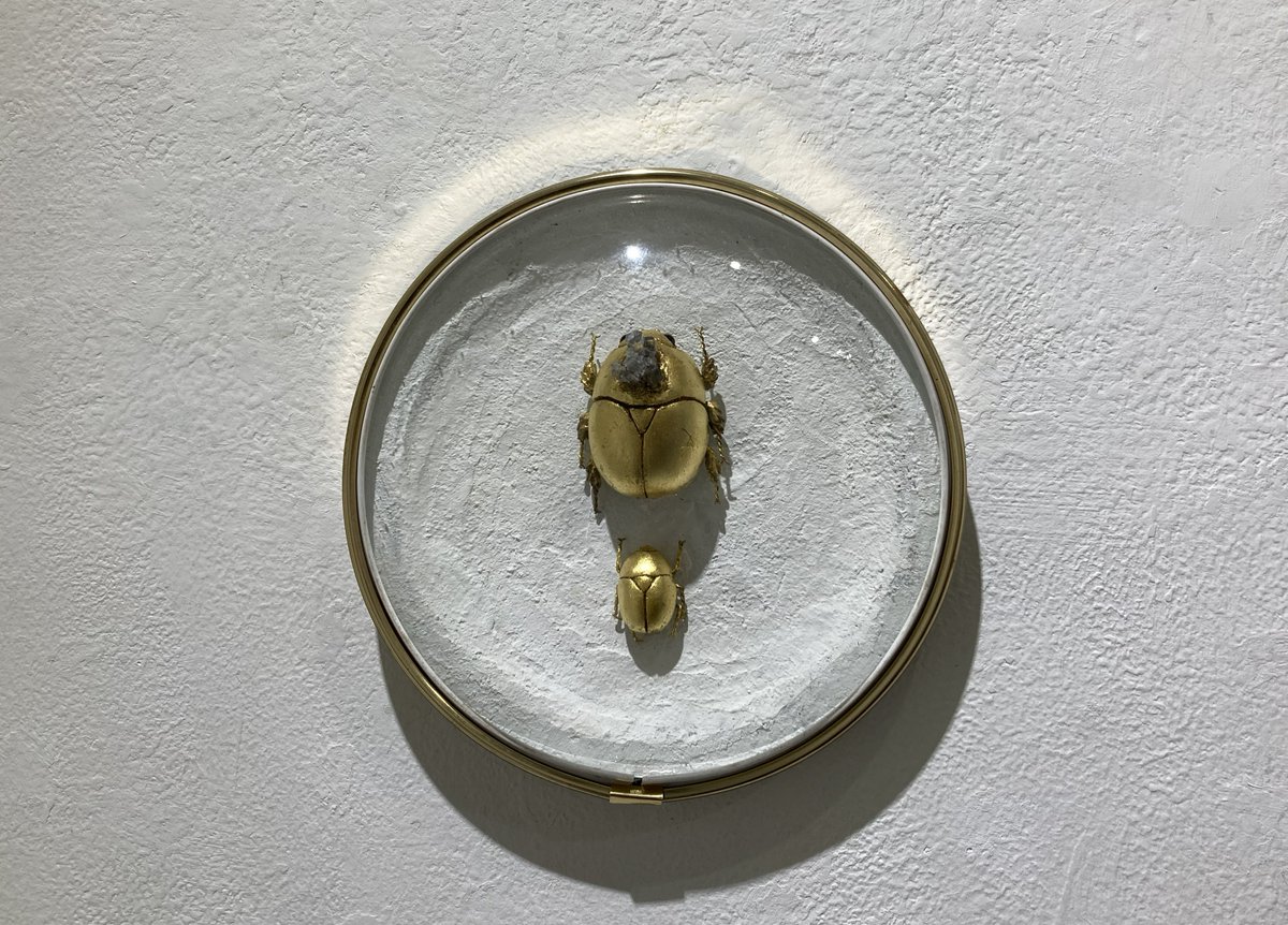 キモトヒロコ tweet media