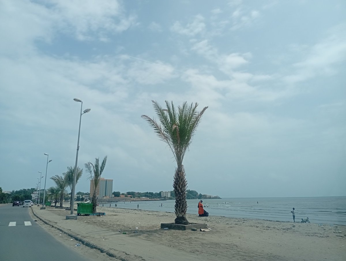 K. Saleh tweet media