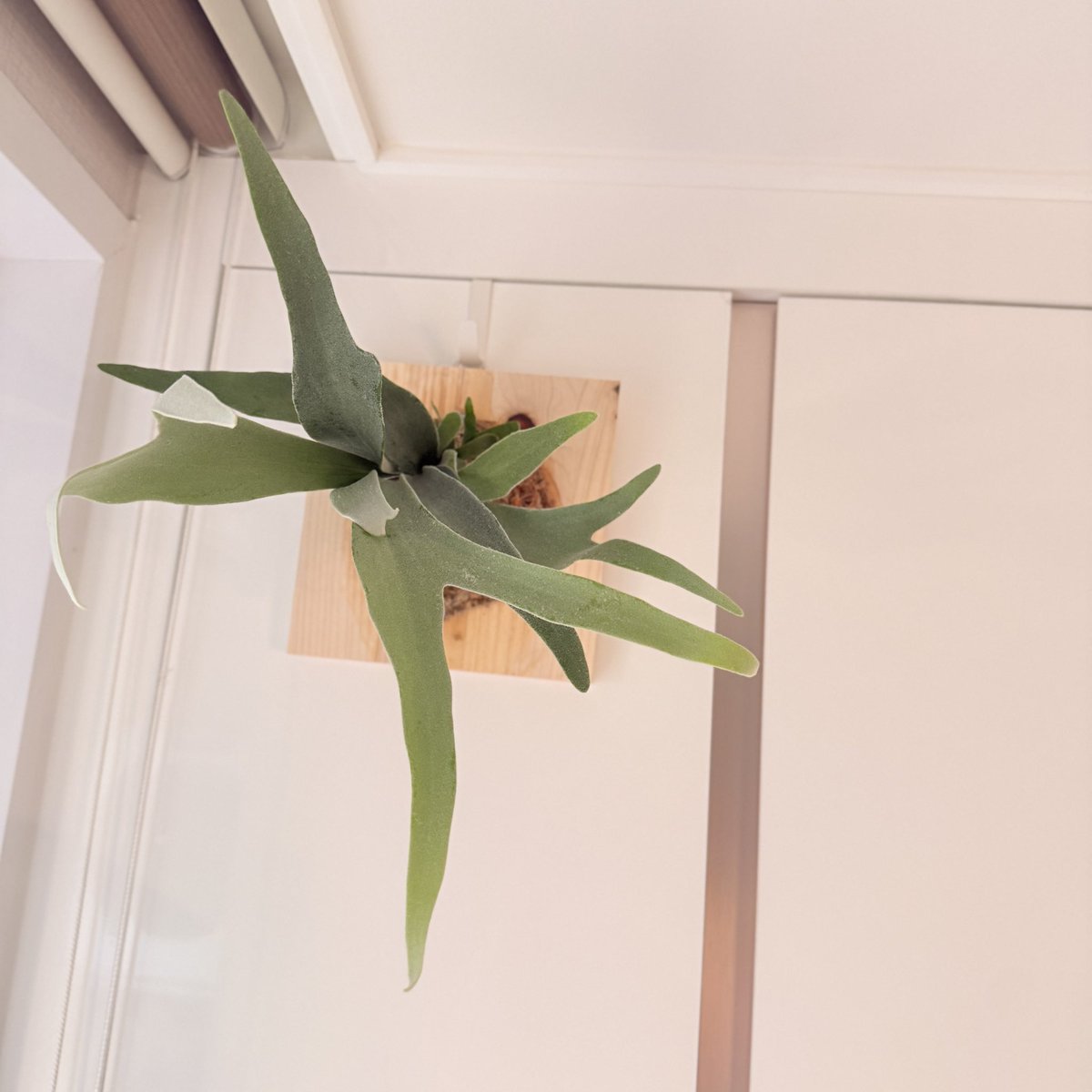 🌿🐈나애 tweet media