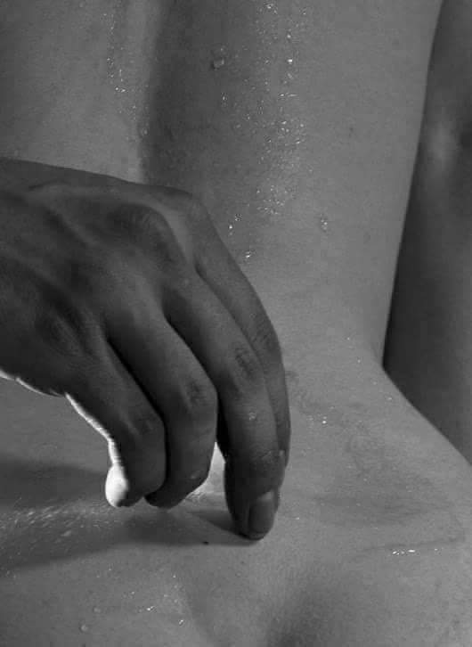 Pilar 🦋 tweet media