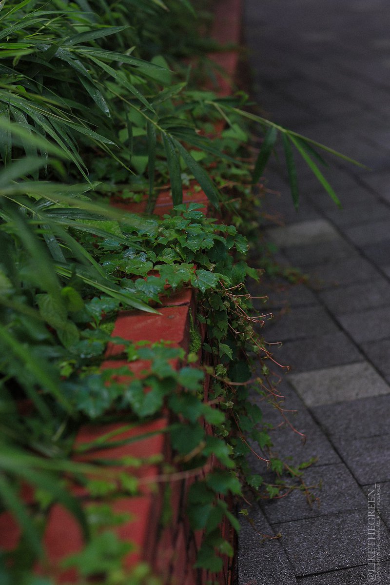 𐔌 .쵸로록: ഒ tweet media