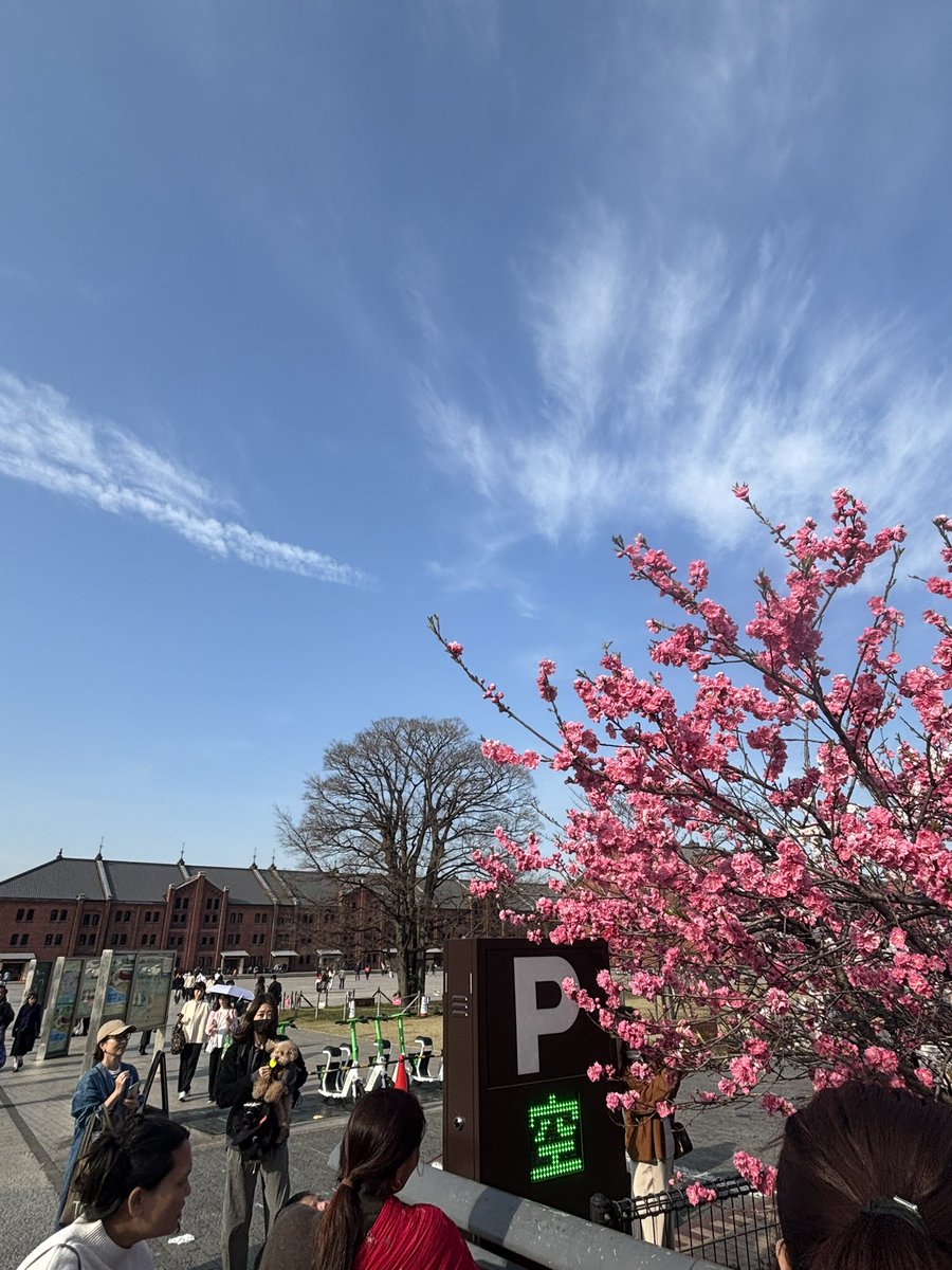 TAKAGI  H tweet media