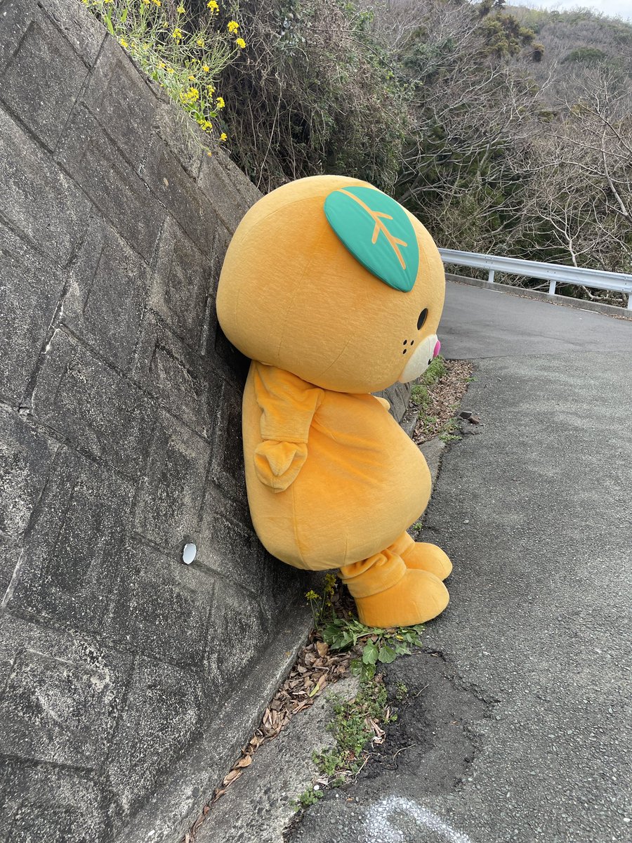みきゃん【公式】《愛媛県イメージアップキャラクター》 tweet media