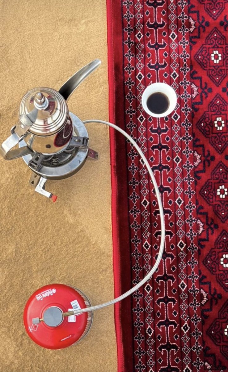 ˚♡˚ 🦌 ˚♡˚ tweet media