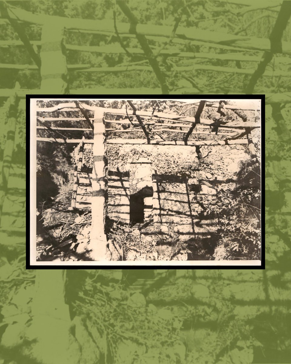 Concello do Rosal tweet media