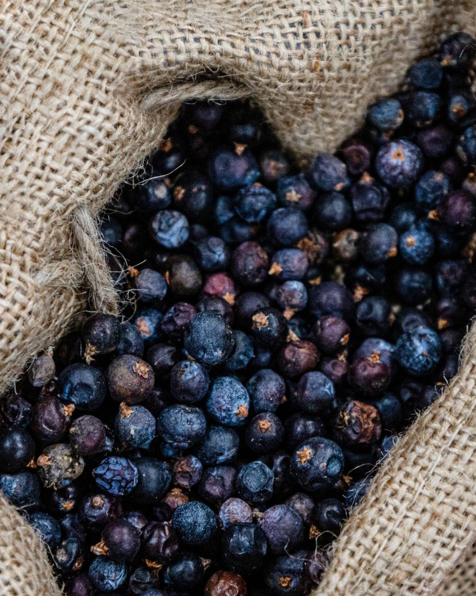 Spirit_of_Wales's tweet image. Dreaming of launching your own spirits brand?
We help businesses create bespoke gins, vodkas and rums from concept to bottle.
Start your journey with our expert distilling team.
 👉 spiritofwales.com/contact/contra…
#ContractDistilling #WelshBusiness #SpiritOfWales