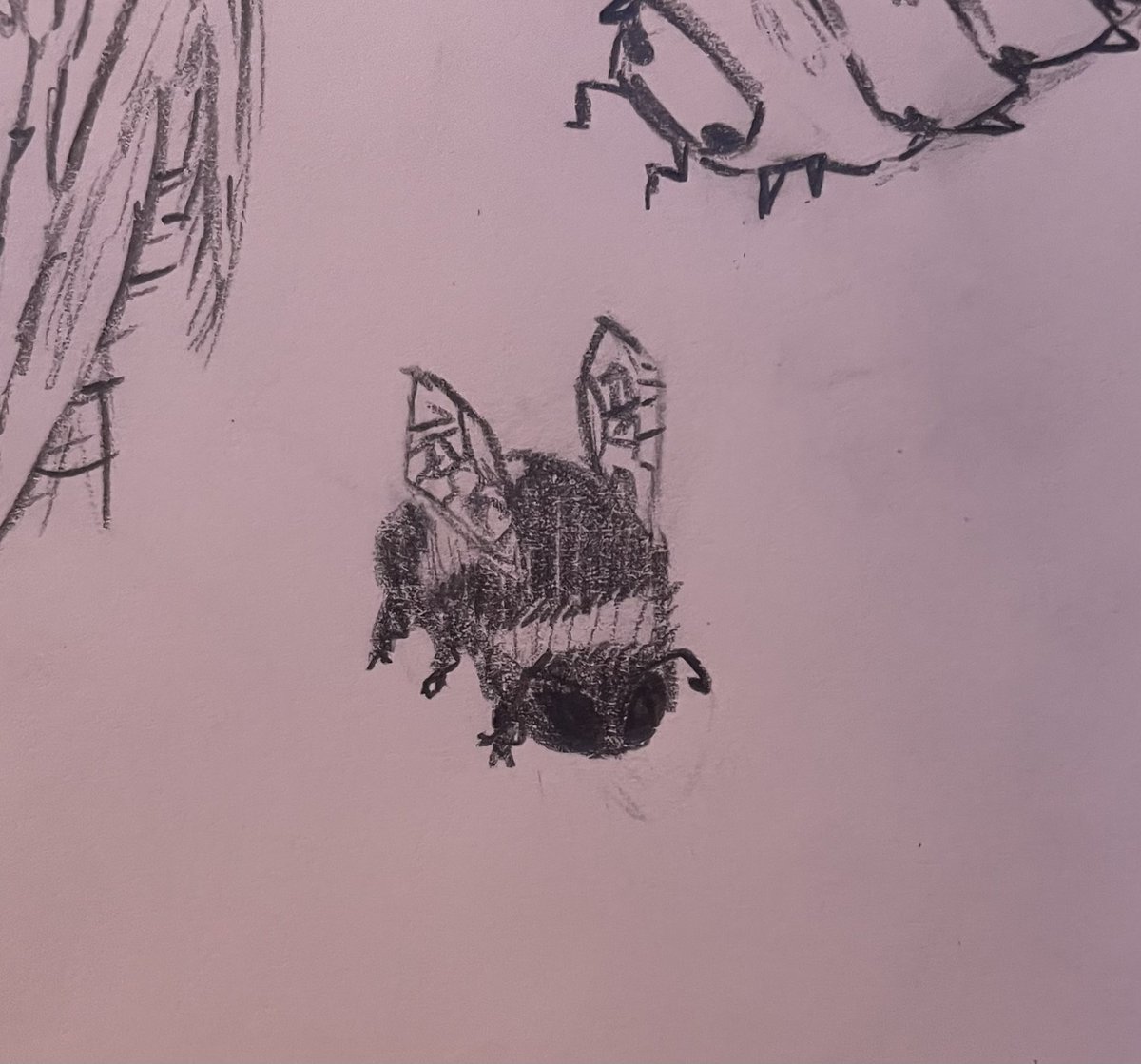 𝐬𝐮𝐧𝐧𝐲 ^^ tweet media