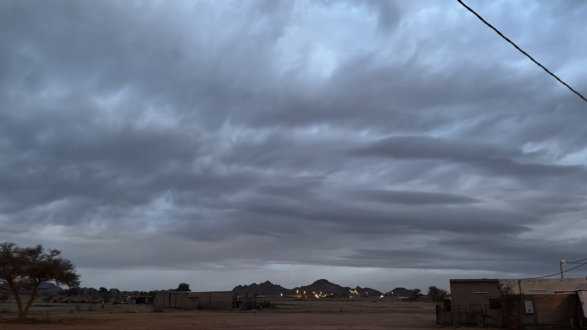 Jo Alshammari tweet media