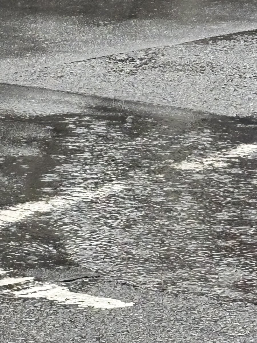 ☾︎ Yu-ki 🌙 tweet media