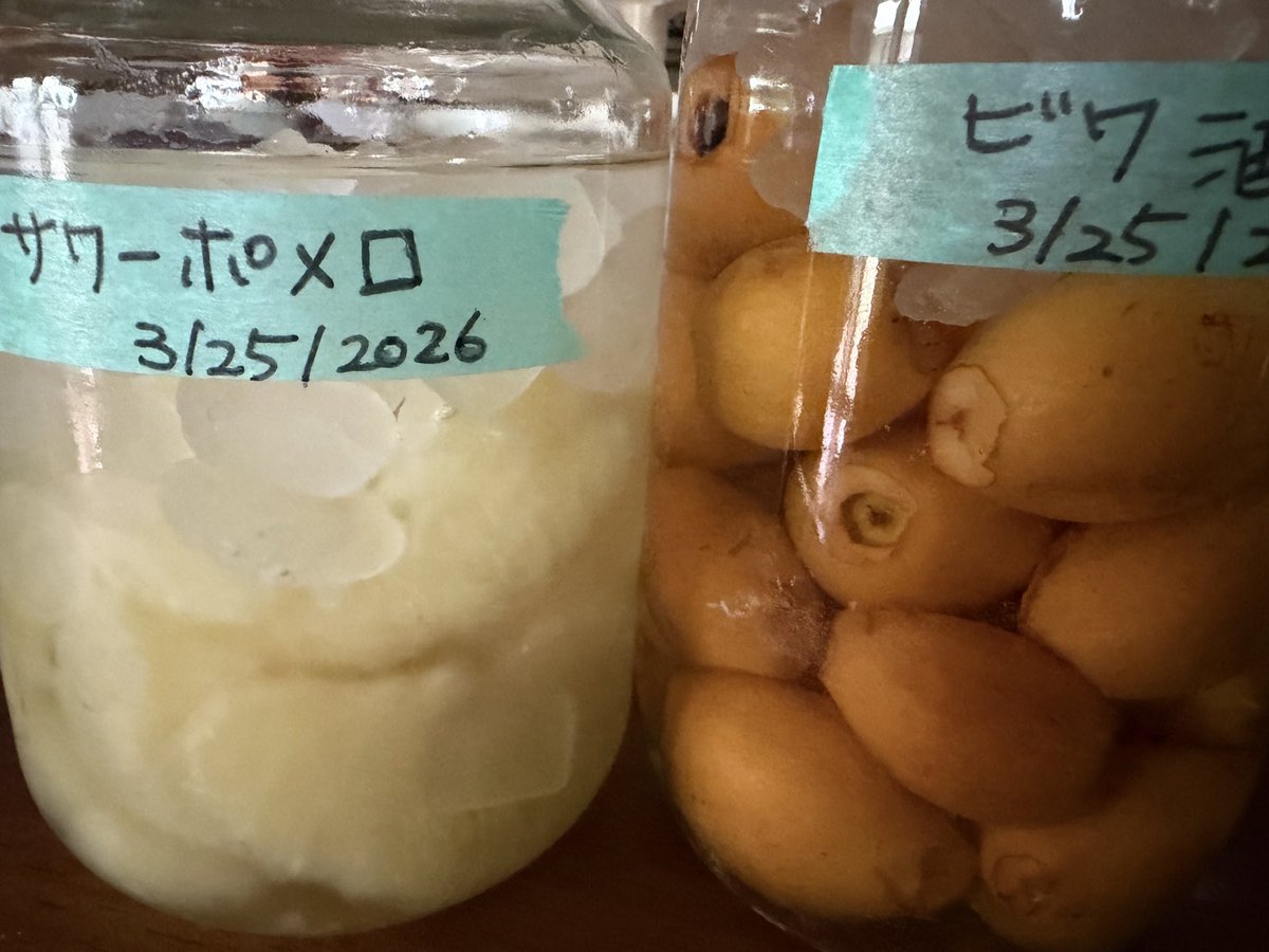 ちびっこ隊長 マイキー tweet media