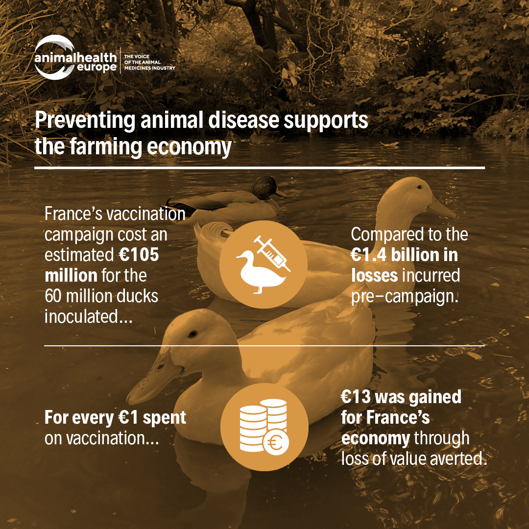 AnimalhealthEurope tweet media