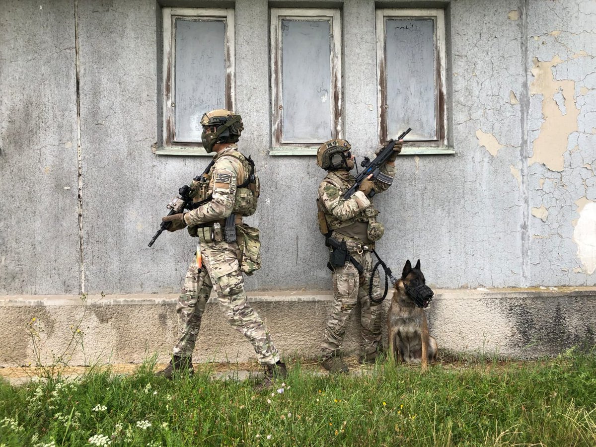 NATO_SOF's tweet image. Join us in celebrating our Ally 🇬🇷 Greece on their Independence Day. 

Χρόνια πολλά Ελλάδα!

#WeAreNATO #StrongerTogether 

📸 @hndgspio