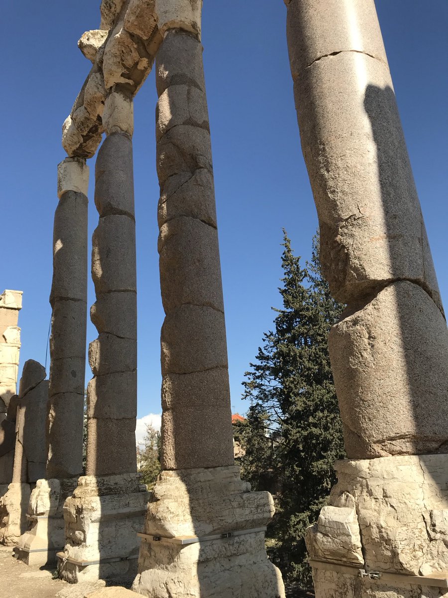 Bettany Hughes💙 tweet media