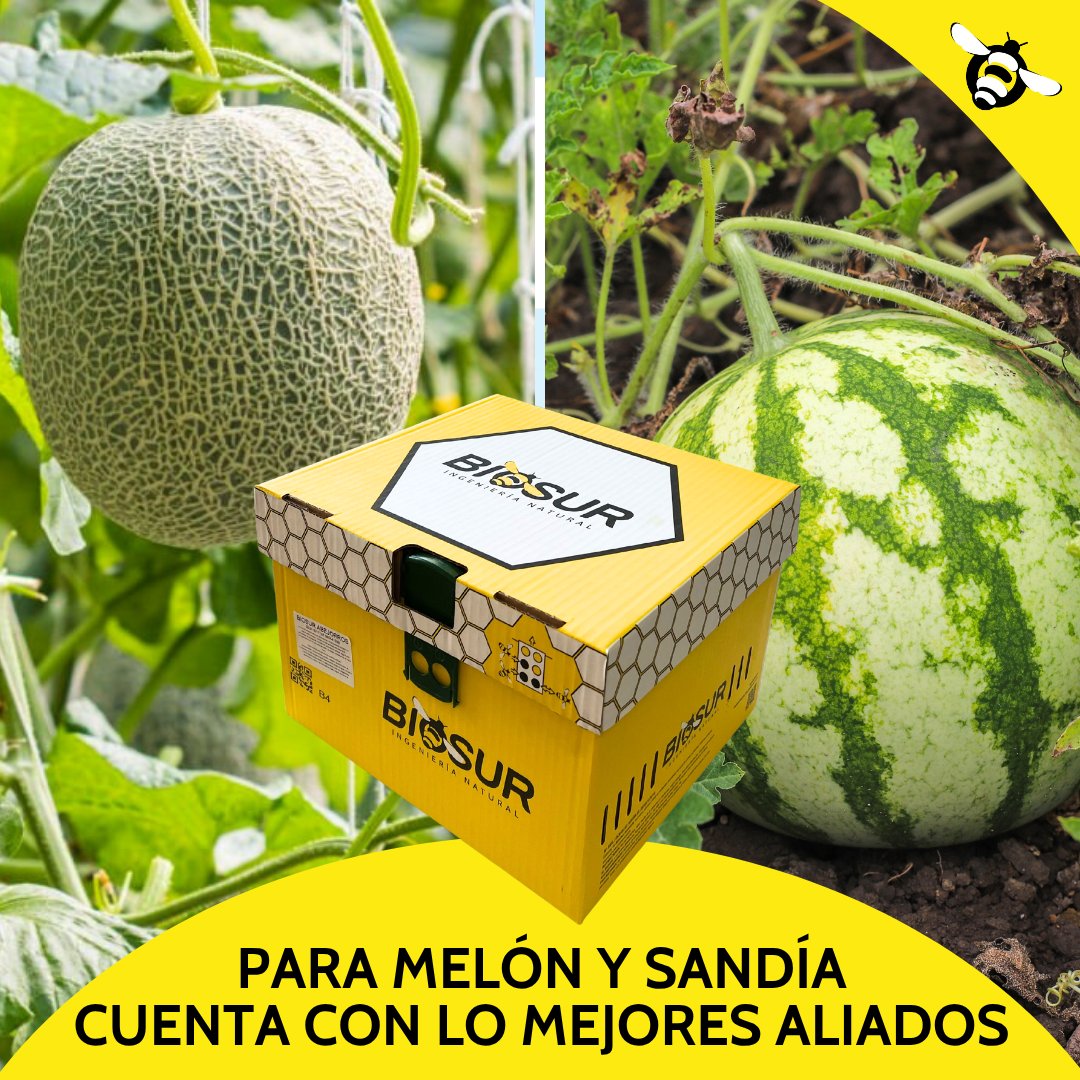 Biosur Productos Agrícolas tweet media