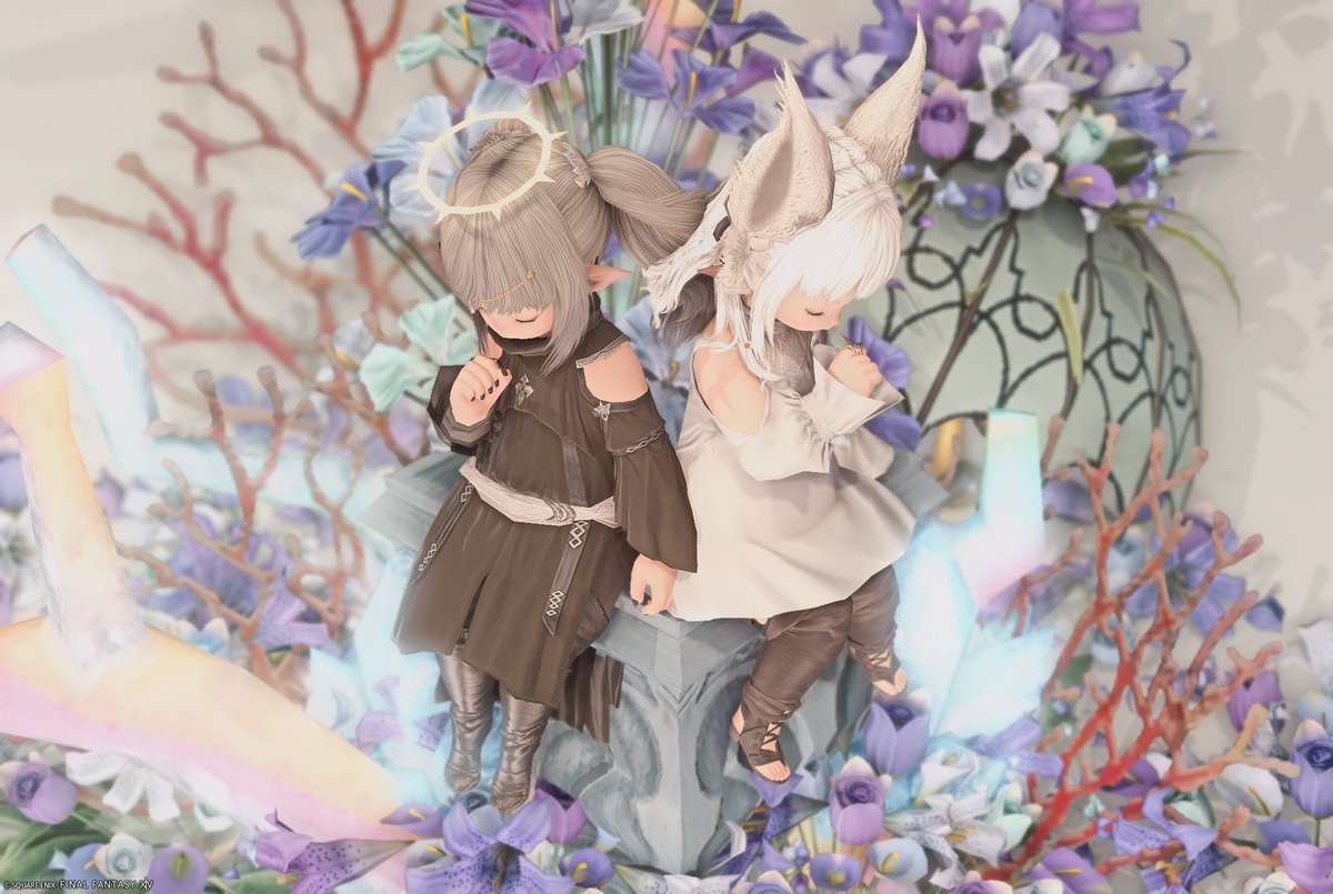 mekopoyo's tweet photo. 𓏸𓈒𓂃🫧
#Lab_chilty https://t.co/AQ6n85hgaB