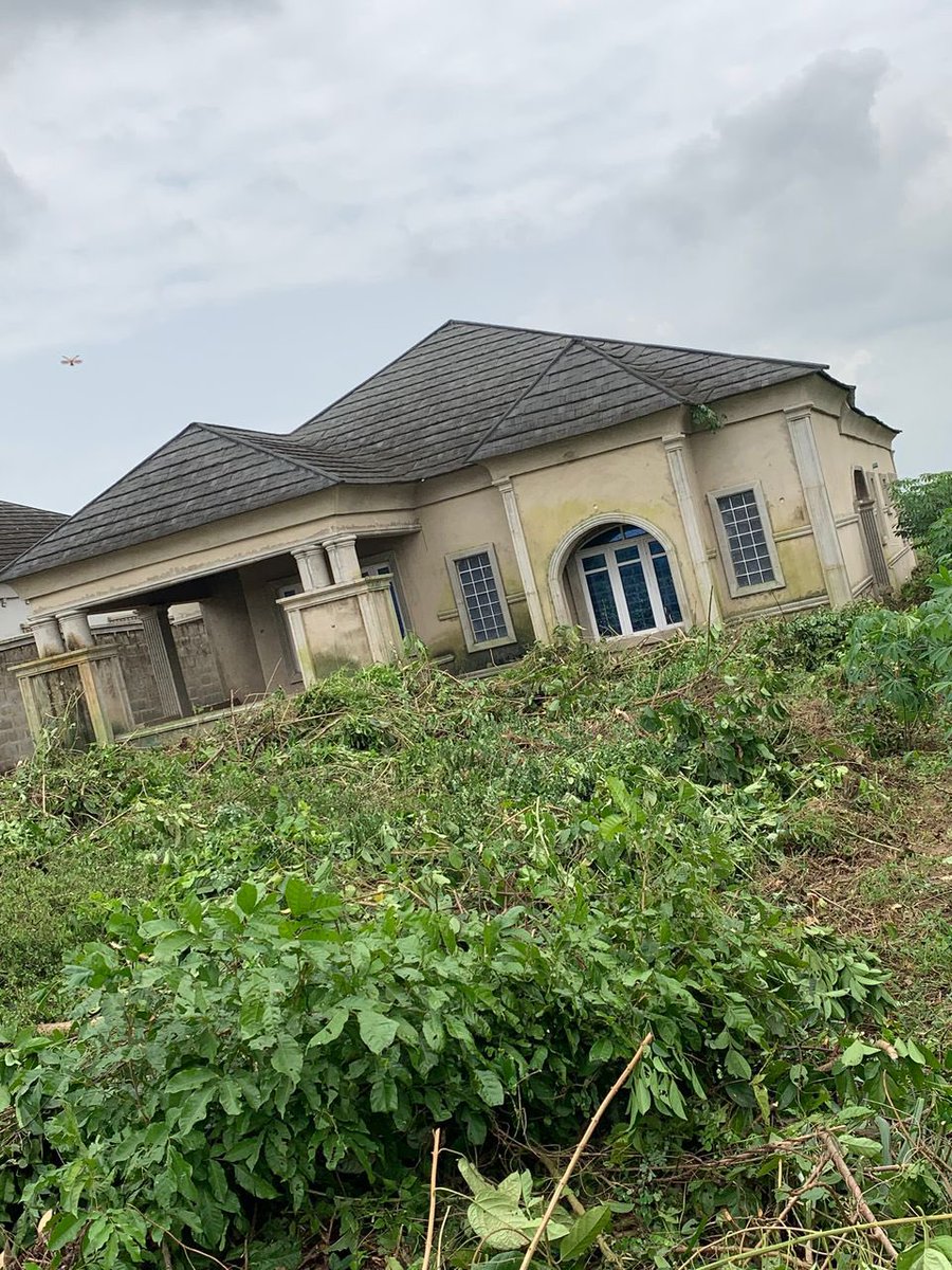 Onilu The Hawker 🧞 tweet media