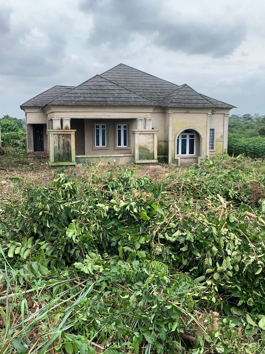 Onilu The Hawker 🧞 tweet media