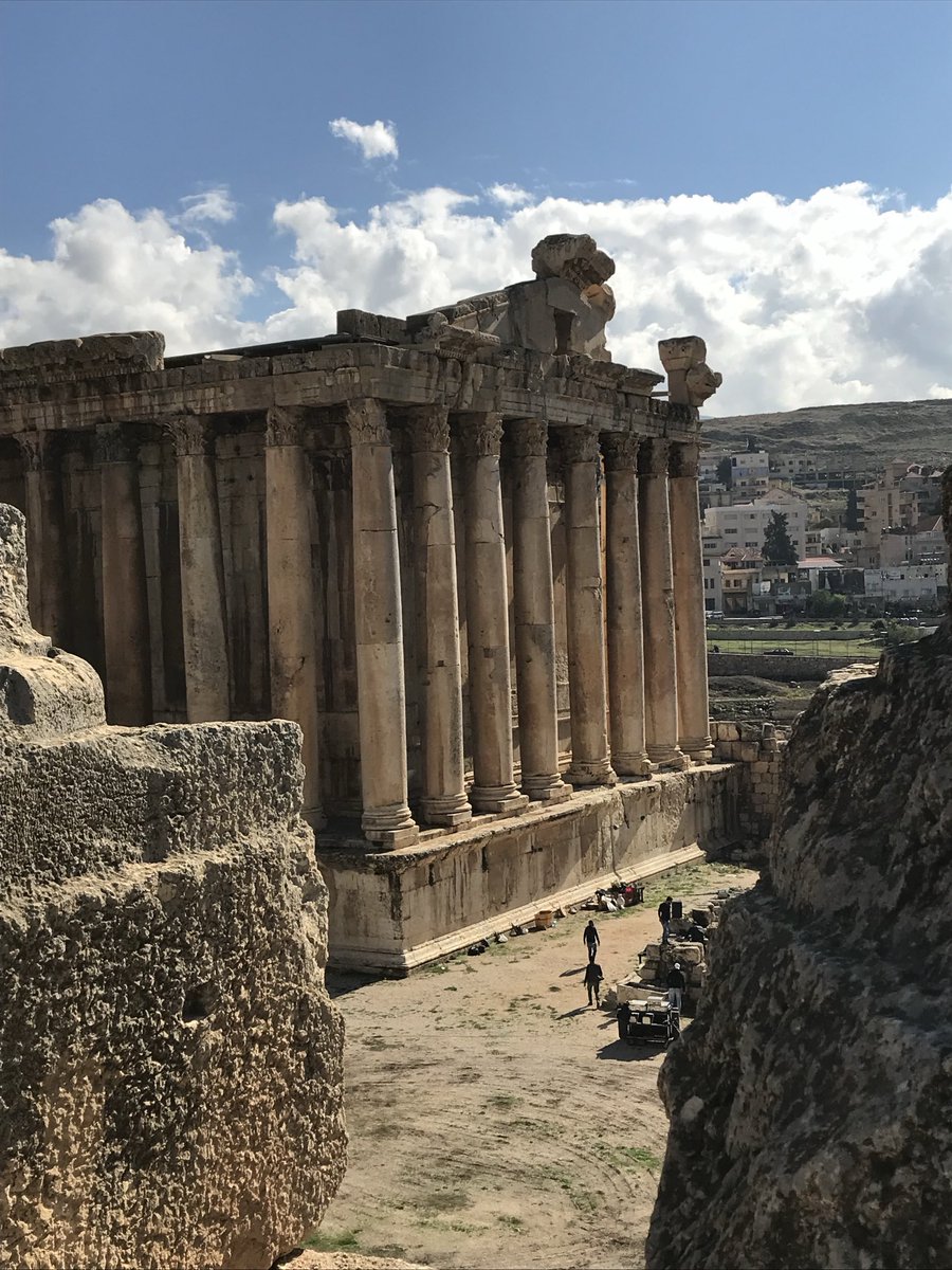 Bettany Hughes💙 tweet media
