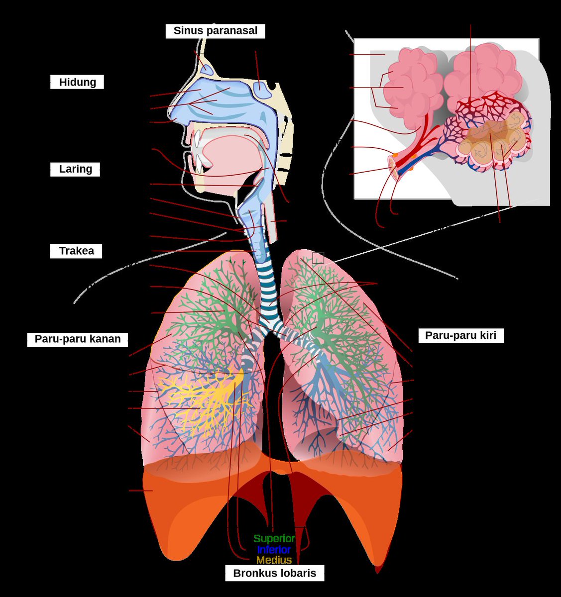Kalameta 😿 tweet media