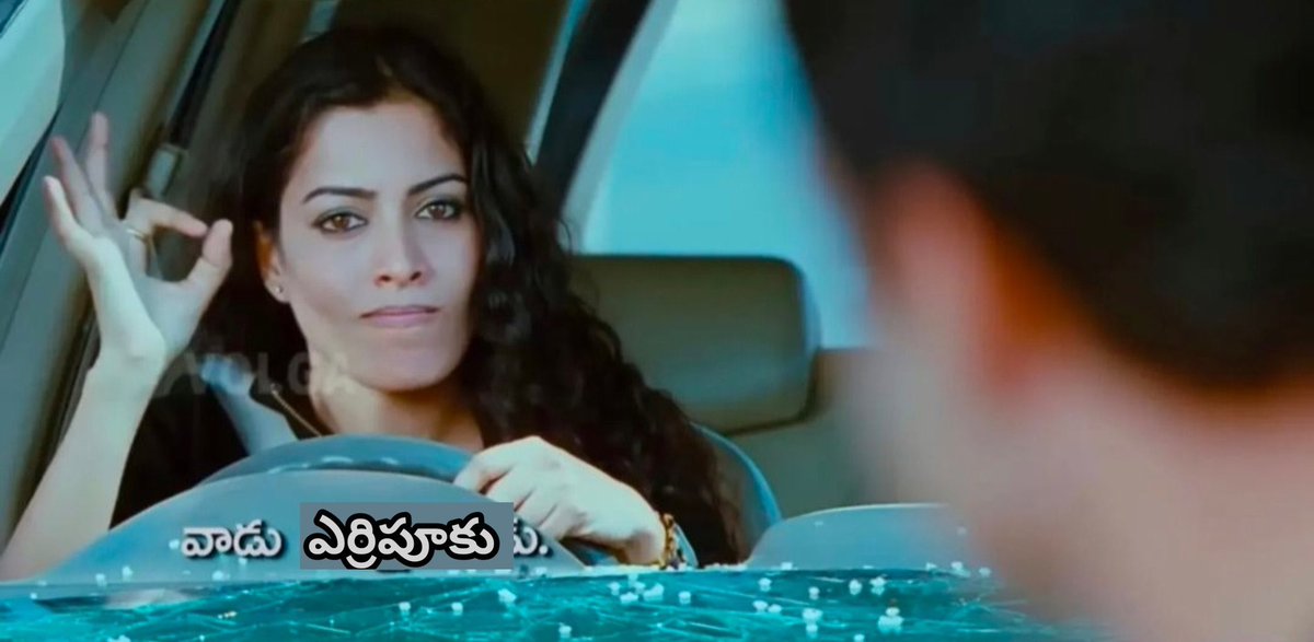 Mr.Stuff🐾 tweet media