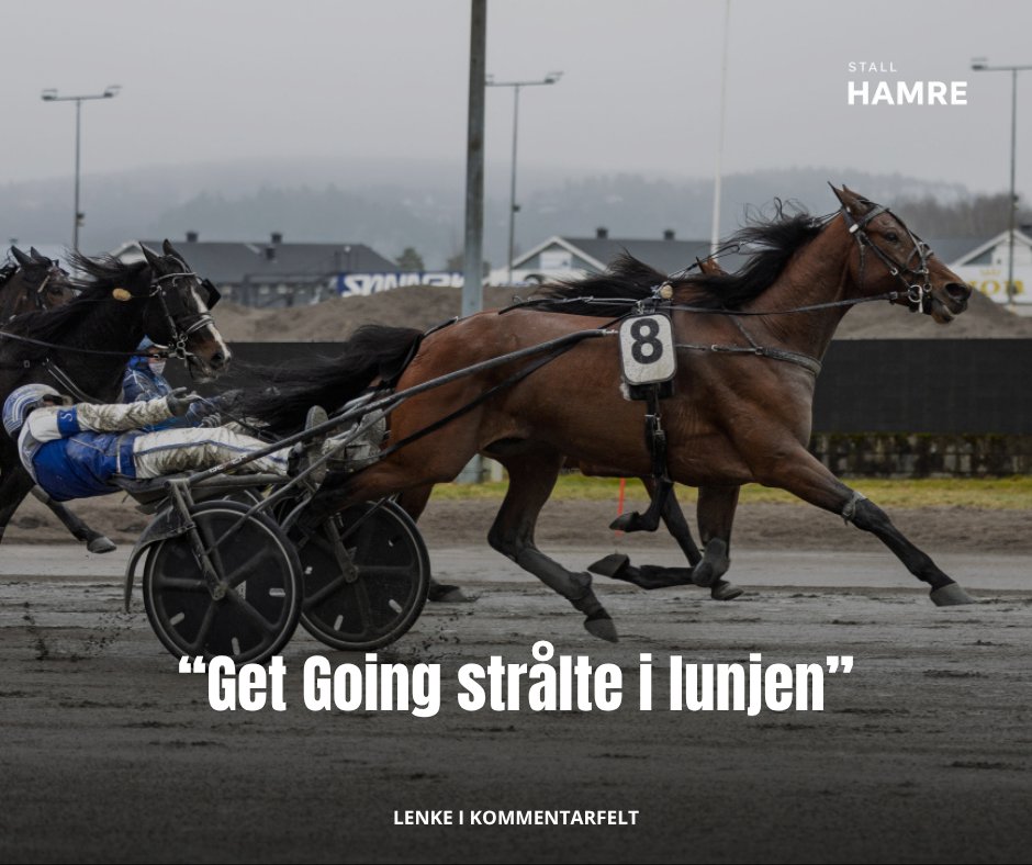 Stall Hamre tweet media