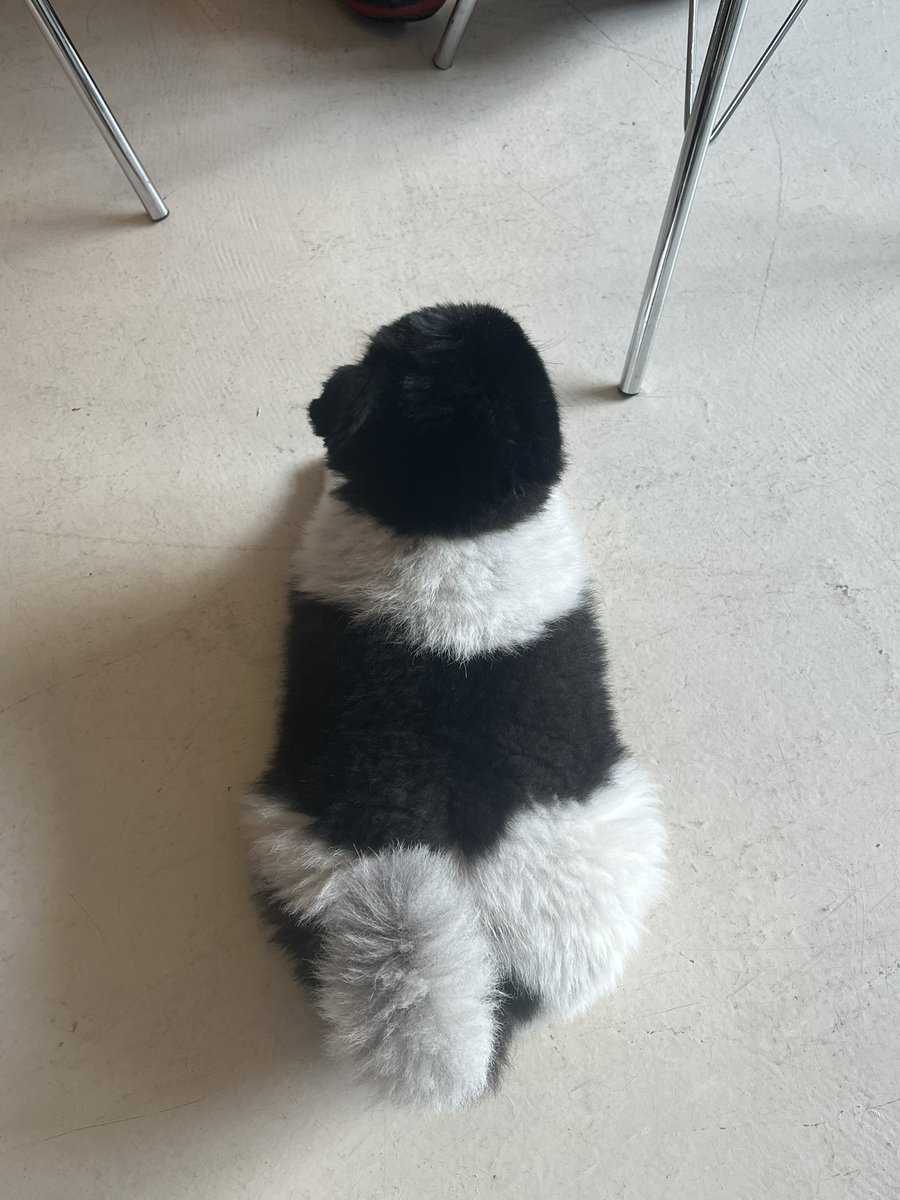 정영롱 tweet media