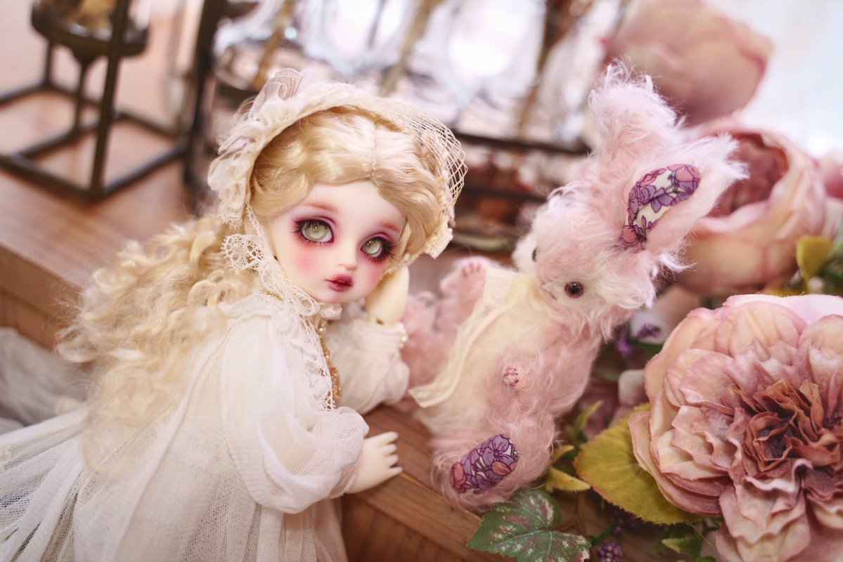 あかえ tweet media