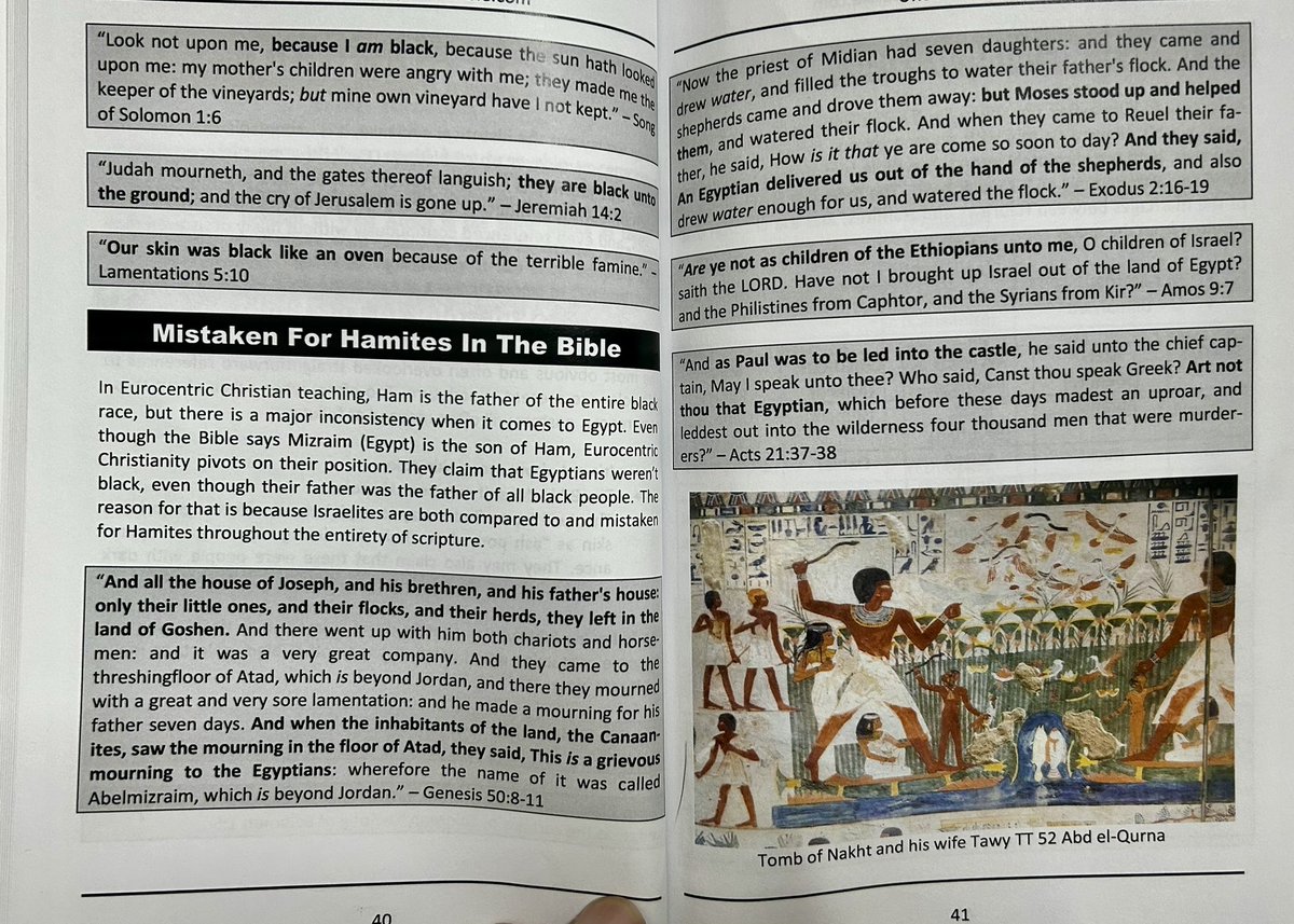 ReignOfC tweet media