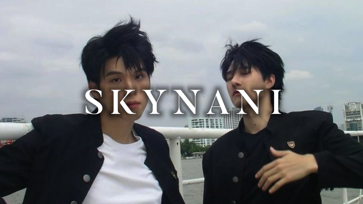 bin⭐️ tweet media