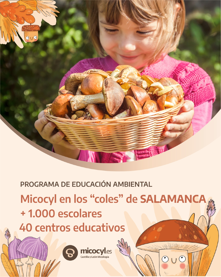 Programa Micocyl tweet media