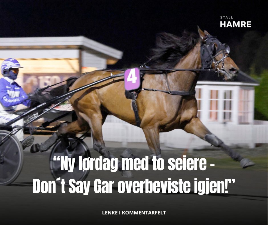 Stall Hamre tweet media