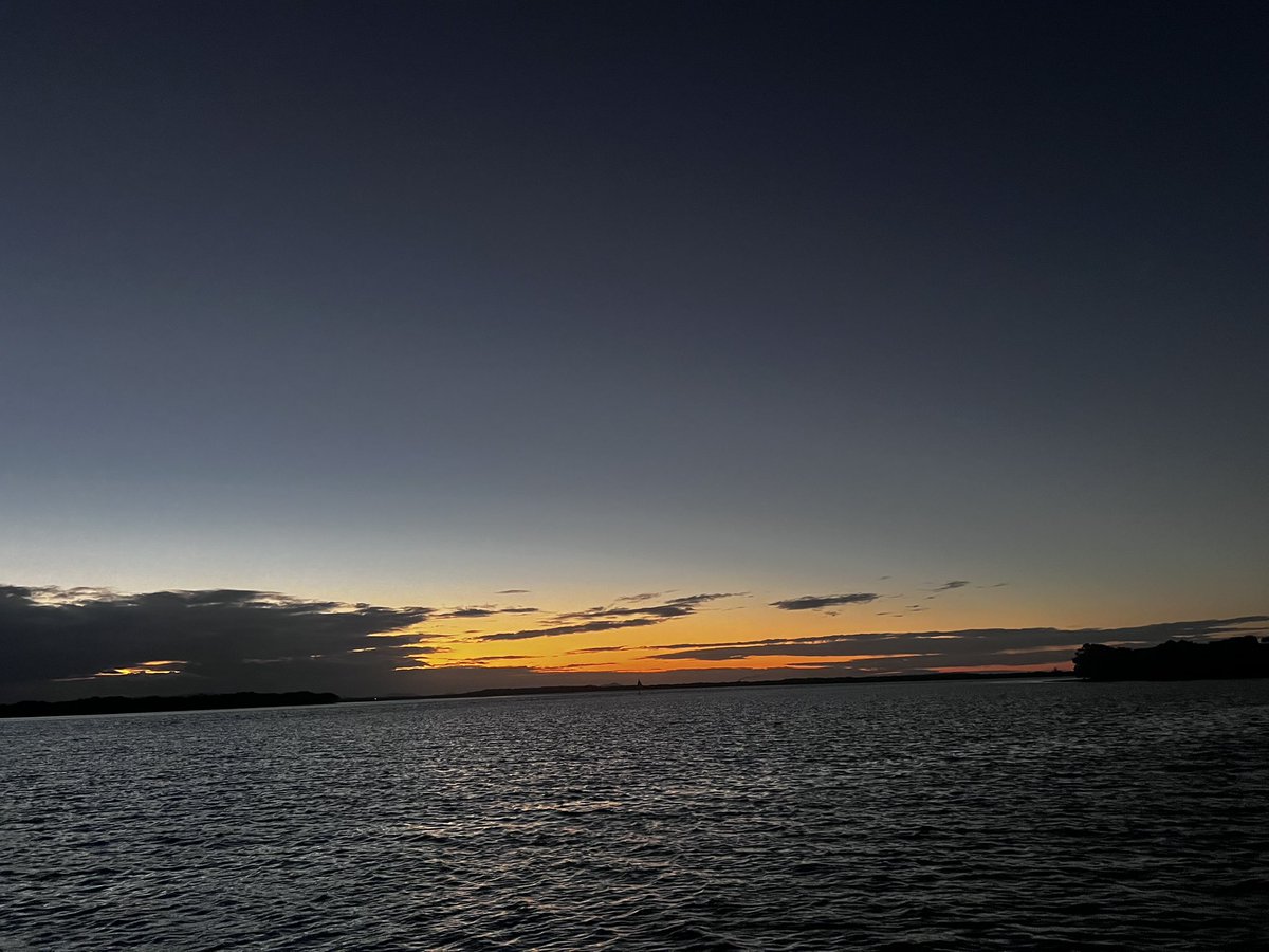 Rex Kelly tweet media