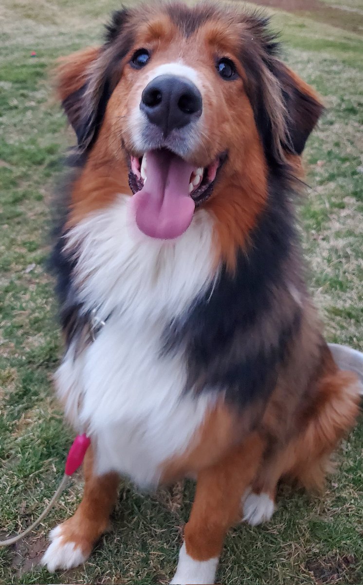 Chud Dwyer tweet media